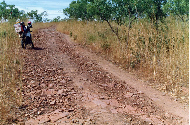 The road through Kimberley National Park