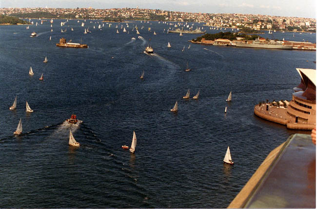 Sydney harbour pool