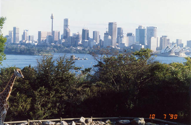 Sydney sky line seen from the zoo